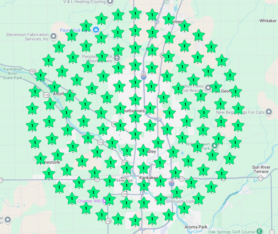 Local map ranking grid after under 90 days — #1 across the service area